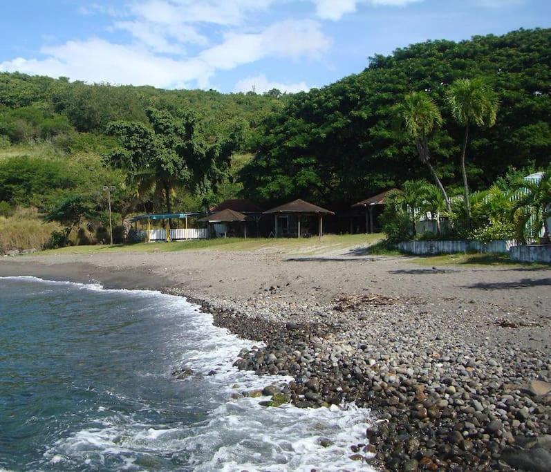 Maison La Voute Plage A 50M Et Riviere A Proximite ヴュー・アビタン エクステリア 写真